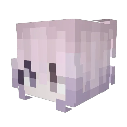 arianaT_T Minecraft avatar head, 3D render