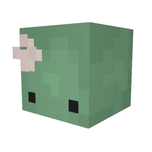 arianagrandefan6 Minecraft avatar head, 3D render