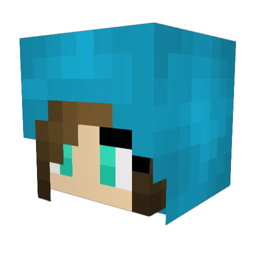 ariari14 Minecraft avatar head, 3D render