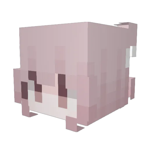 ariasnyy Minecraft avatar head, 3D render
