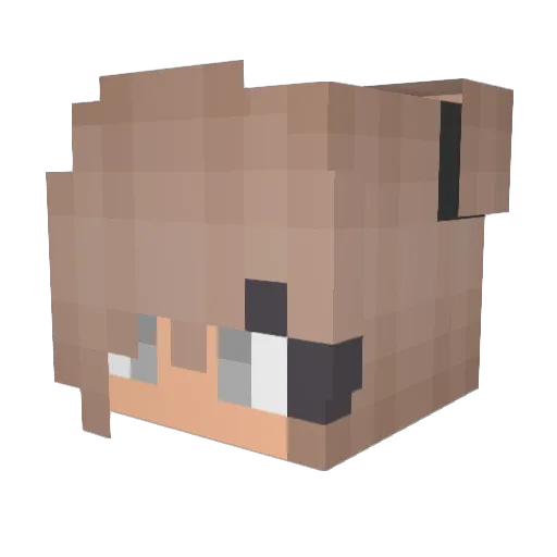 ariawoolsey Minecraft avatar head, 3D render