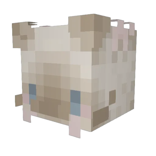 aricat13 Minecraft avatar head, 3D render