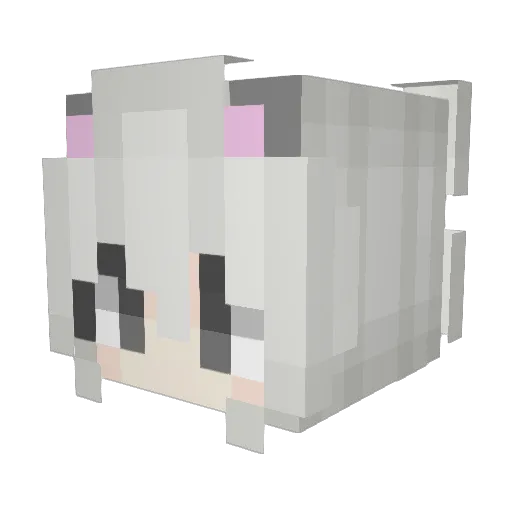 aricatT_T Minecraft avatar head, 3D render