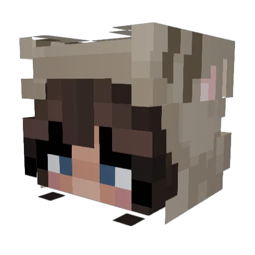 aridago Minecraft avatar head, 3D render