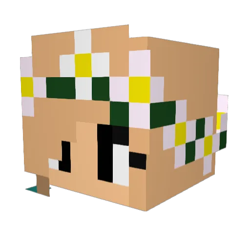 ariel1973 Minecraft avatar head, 3D render