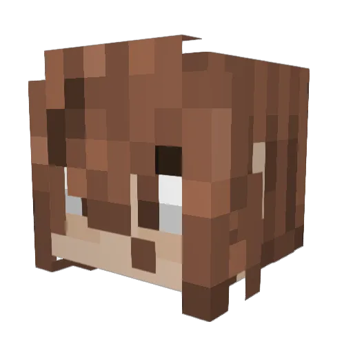 arigamer123456 Minecraft avatar head, 3D render