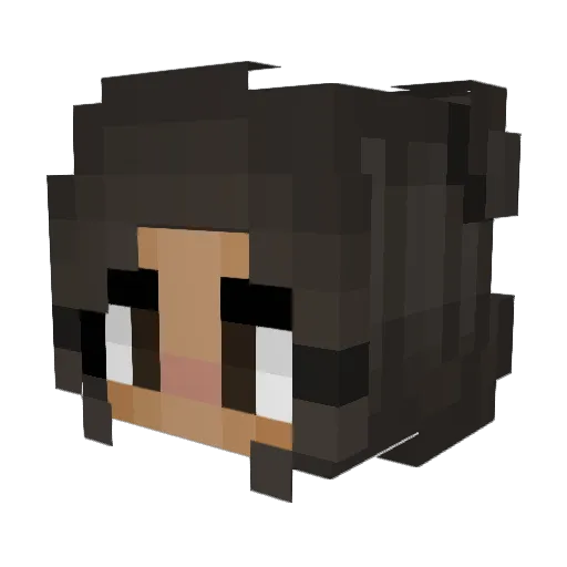 arii04 Minecraft avatar head, 3D render
