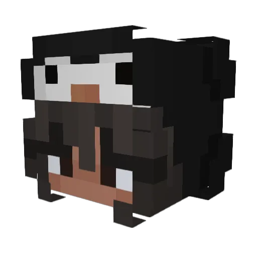 ariimc_ Minecraft avatar head, 3D render