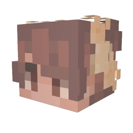 ariisoka Minecraft avatar head, 3D render