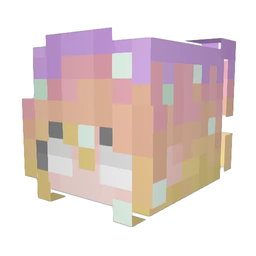 arikitty_ Minecraft avatar head, 3D render