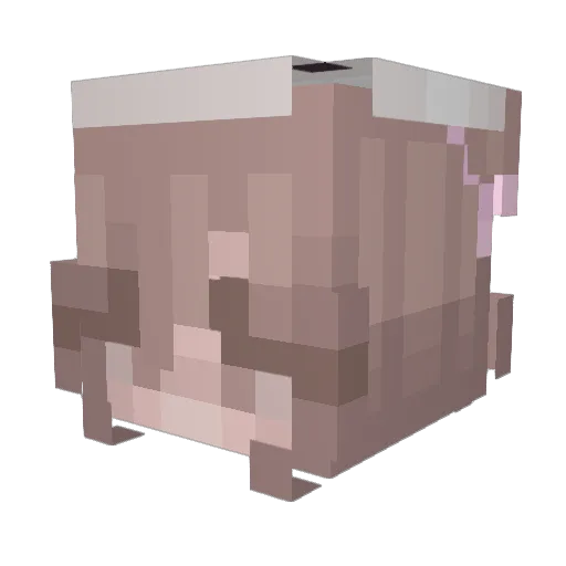 arimayer Minecraft avatar head, 3D render