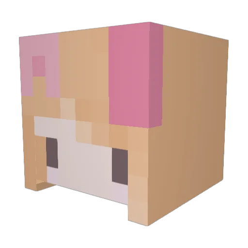 arimoa Minecraft avatar head, 3D render