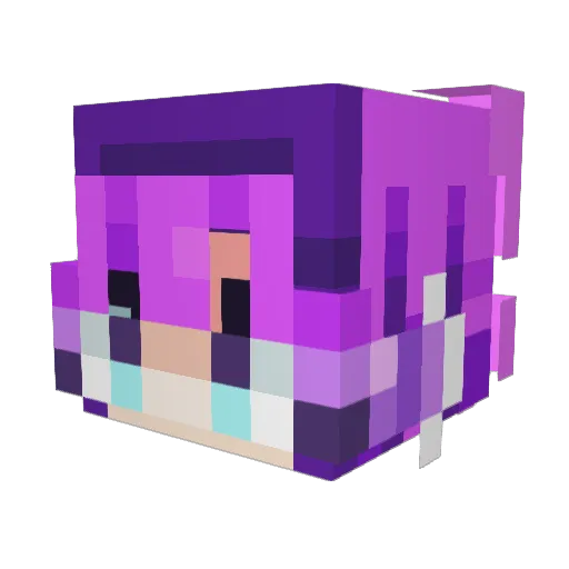 arimum Minecraft avatar head, 3D render