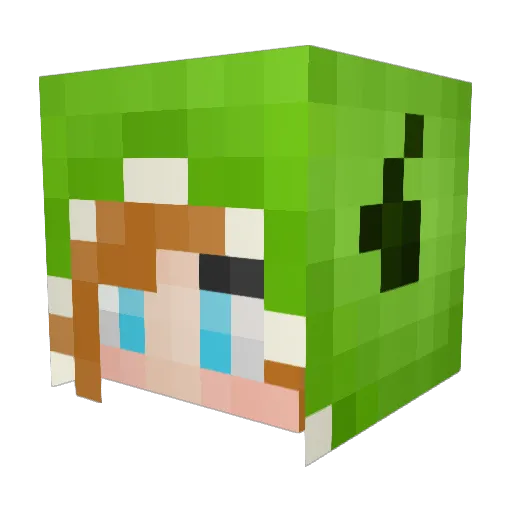 arin_ Minecraft avatar head, 3D render