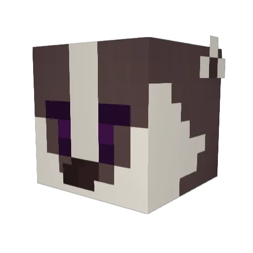 arin__TIK Minecraft avatar head, 3D render