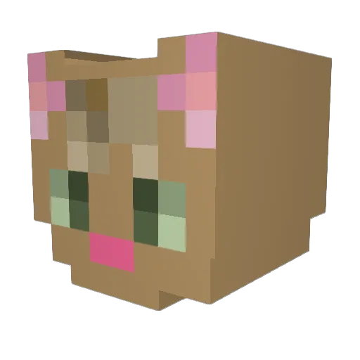arinko609 Minecraft avatar head, 3D render
