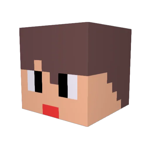 ariomaeri Minecraft avatar head, 3D render