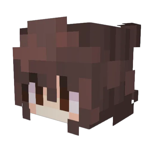 aripariparipari Minecraft avatar head, 3D render
