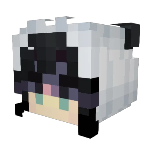 Minecraft-Avatar von arise1324: Kopf als 3D-Render