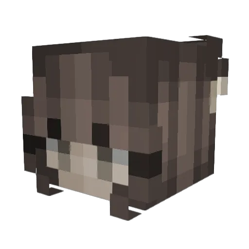 arispants Minecraft avatar head, 3D render