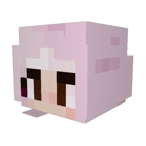 arithewitch Minecraft avatar head, 3D render