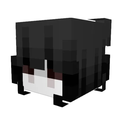 ariwa Minecraft avatar head, 3D render