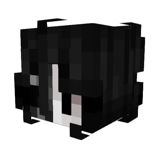 arj Minecraft avatar head, 3D render