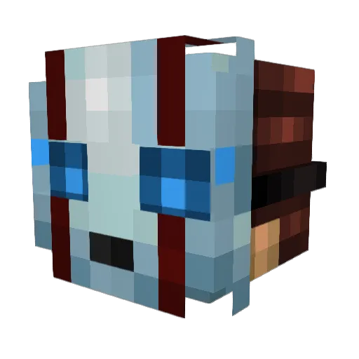 arjunator12 Minecraft avatar head, 3D render