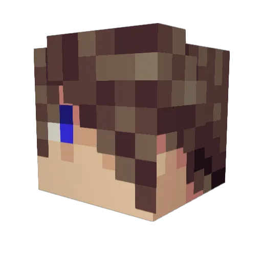 ark456 Minecraft avatar head, 3D render