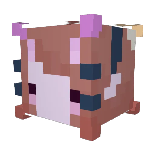 arksyy Minecraft avatar head, 3D render