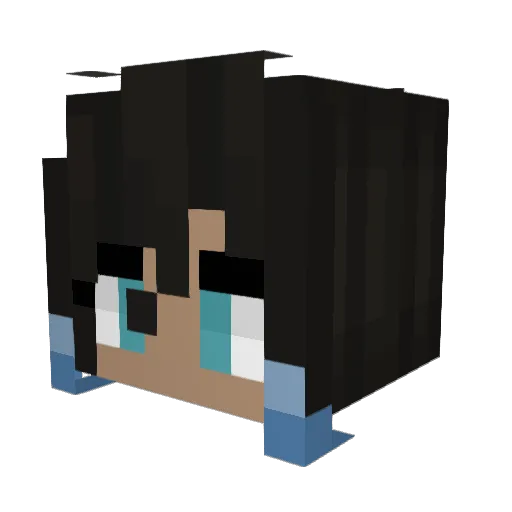 arkymet Minecraft avatar head, 3D render