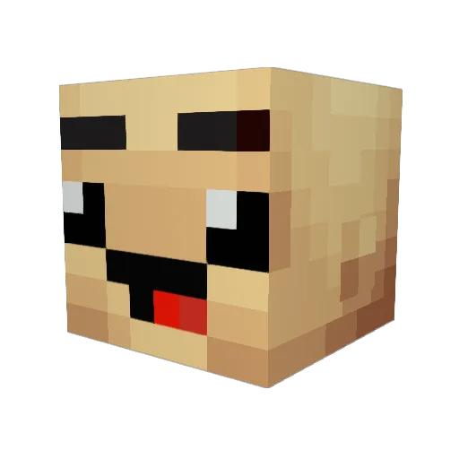 armadilloruin Minecraft avatar head, 3D render