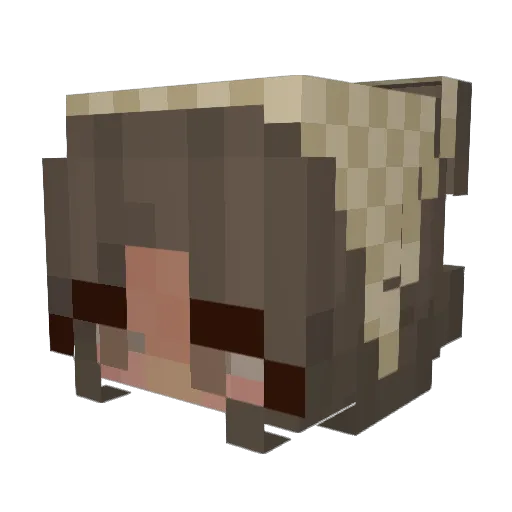 armnaur Minecraft avatar head, 3D render