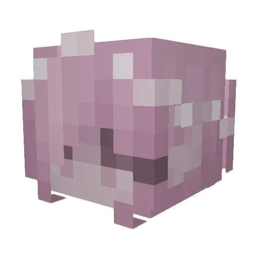 armpit_licker_1 Minecraft avatar head, 3D render