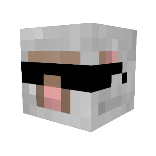 armyboy1100 Minecraft avatar head, 3D render