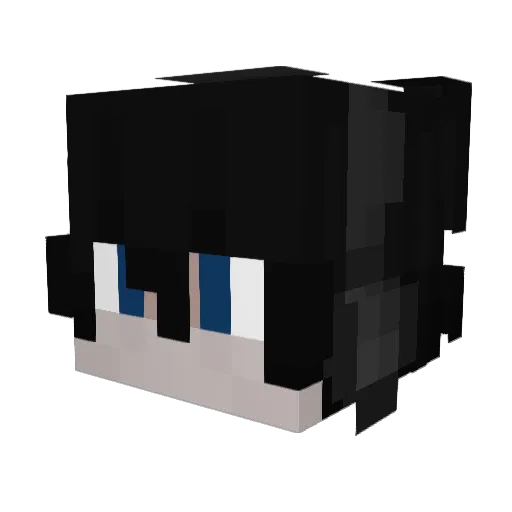 armydreamers610 Minecraft avatar head, 3D render
