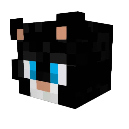 arnie_27 Minecraft avatar head, 3D render