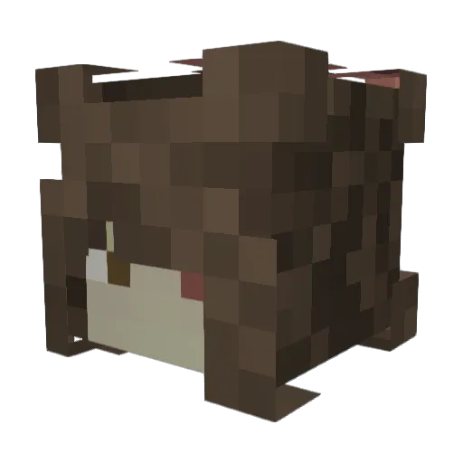 arnoe Minecraft avatar head, 3D render