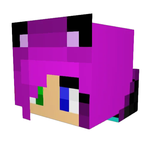 aroa26 Minecraft avatar head, 3D render