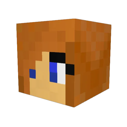 arockarocka Minecraft avatar head, 3D render