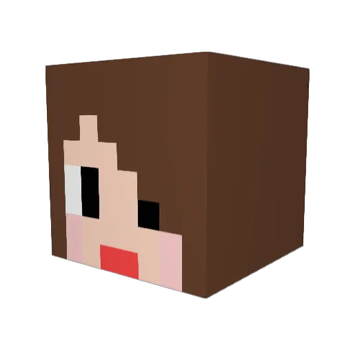 aroe217 Minecraft avatar head, 3D render