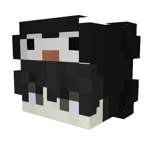 aroeex Minecraft avatar head, 3D render