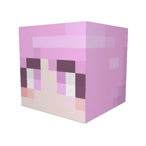 arohaOH Minecraft avatar head, 3D render