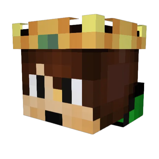 aronklaassen17 Minecraft avatar head, 3D render