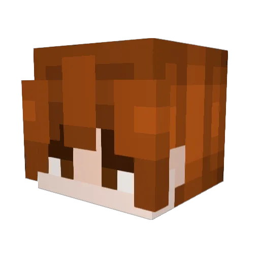 arpat14 Minecraft avatar head, 3D render