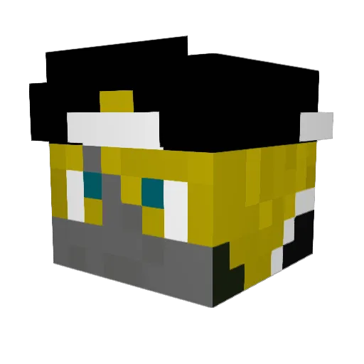 arran321 Minecraft avatar head, 3D render