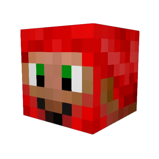 arrowhead73 Minecraft avatar head, 3D render