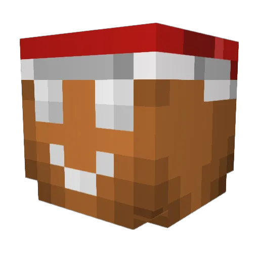 arrowsoldiers Minecraft avatar head, 3D render
