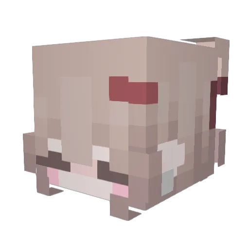 arrr Minecraft avatar head, 3D render