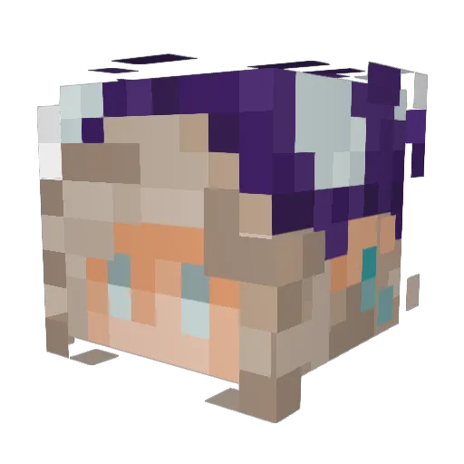 arry0 Minecraft avatar head, 3D render